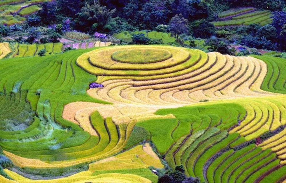 Destacan a Vietnam como destino impresionante en Feria Internacional de Turismo y Viajes de Montreal ảnh 1 Destacan a Vietnam como destino impresionante en Feria Internacional de Turismo y Viajes de Montreal ảnh 1