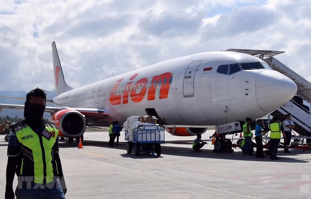 Aerolínea de Indonesia Lion Air realizará primera oferta pública de acciones al público ảnh 1