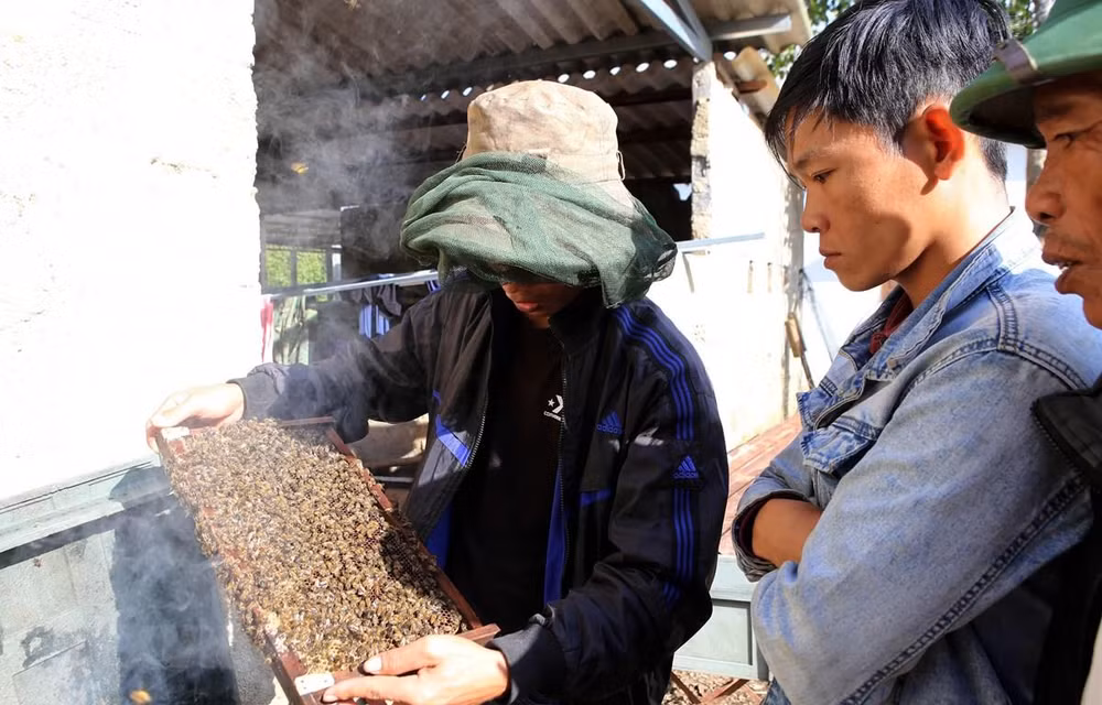 Busca provincia vietnamita impulsar cultivo de plantas medicinales con apoyo de Estados Unidos ảnh 1