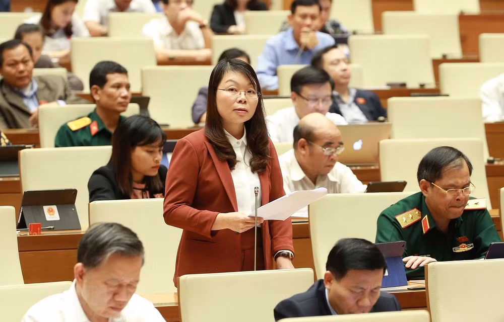Analizará Parlamento de Vietnam borradores de leyes de milicia y migración ảnh 1