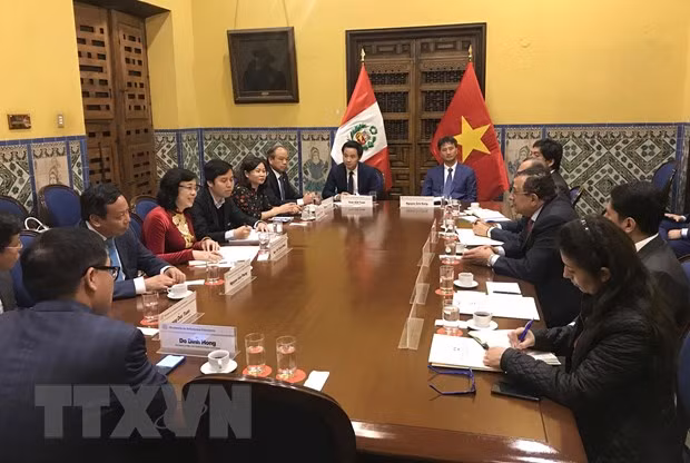 Promueve Hanoi una mayor cooperación con Argentina y Perú ảnh 2