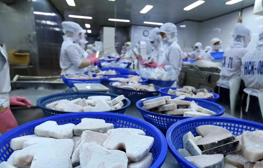 Experto británico valora altamente la integración internacional de Vietnam ảnh 1 Experto británico valora altamente la integración internacional de Vietnam ảnh 1