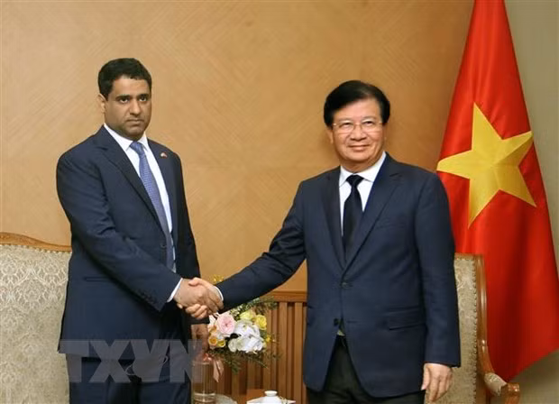 Viceprimer ministro de Vietnam promete condiciones favorables para empresas de EAU ảnh 1