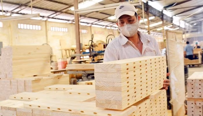 Ingresa Vietnam casi ocho mil millones de dólares por exportaciones silvícolas en nueve meses ảnh 1