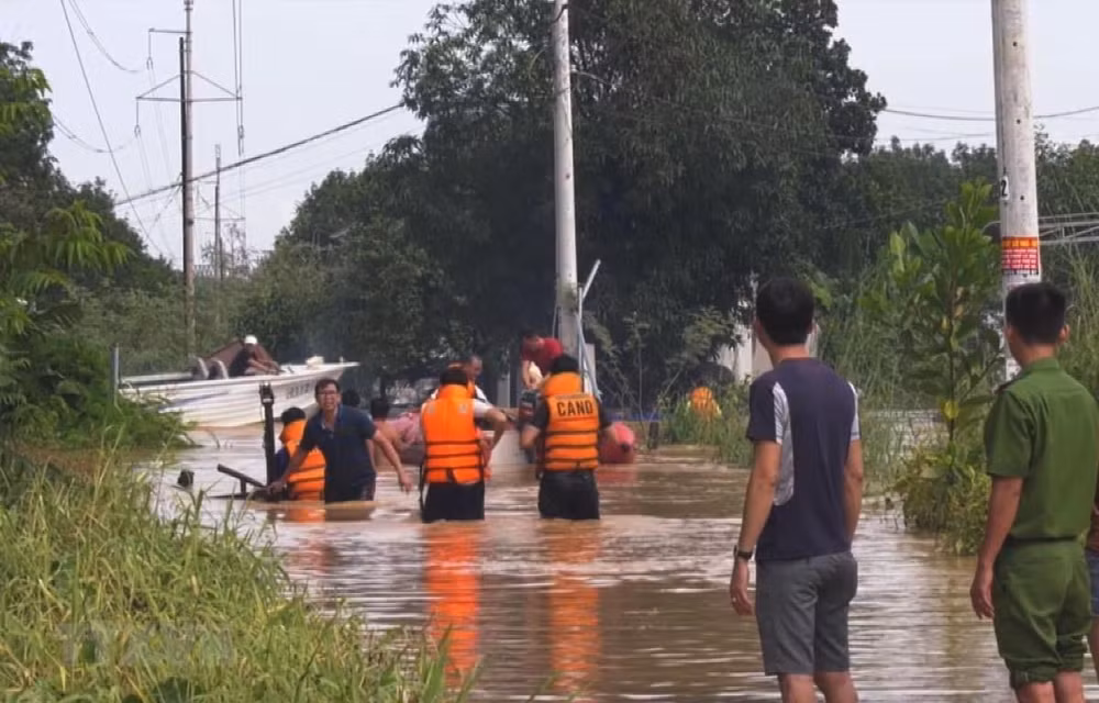 Vietnam y Japón intercambian experiencias en prevención de inundaciones ảnh 1 Vietnam y Japón intercambian experiencias en prevención de inundaciones ảnh 1