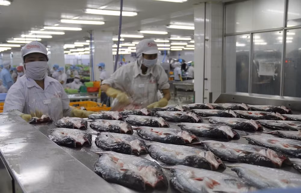 Sube Vietnam 10 escaños en el ranking mundial de competitividad económica ảnh 1