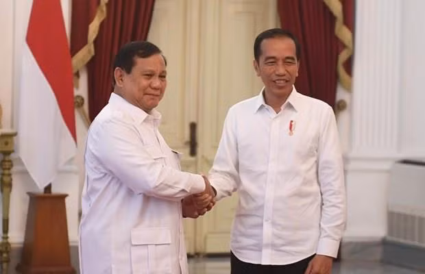 Indonesia considera posibilidad de establecer una coalición gubernamental ảnh 1