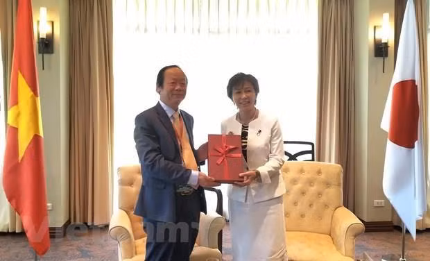 Espera Vietnam recibir asistencia japonesa en el tratamiento de residuos ảnh 1