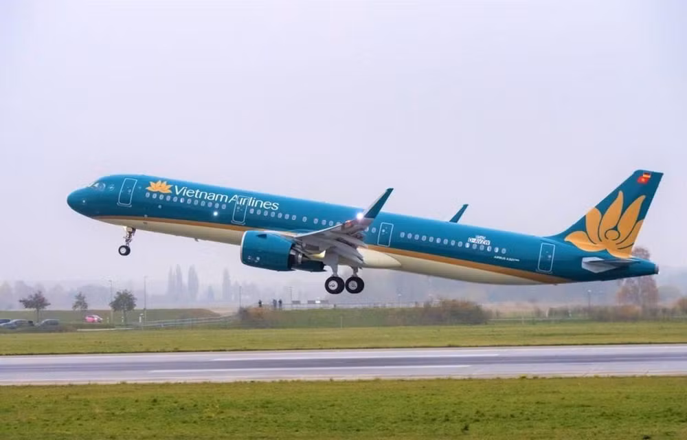 Reprograma Vietnam Airlines vuelos a Japón por tifón Neoguri ảnh 1