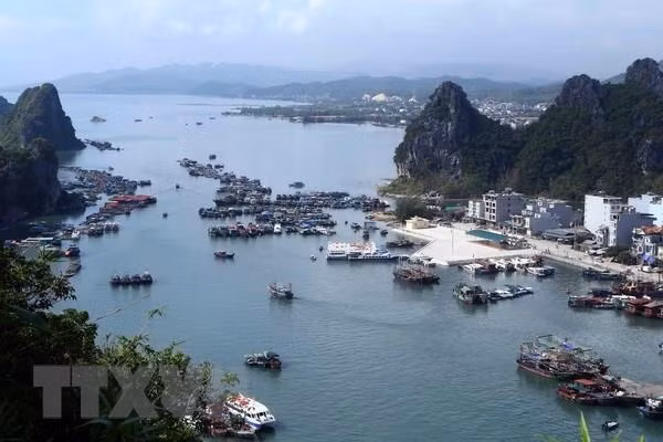 Distrito Van Don en Vietnam, atractivo destino de turismo marino ảnh 1 Distrito Van Don en Vietnam, atractivo destino de turismo marino ảnh 1