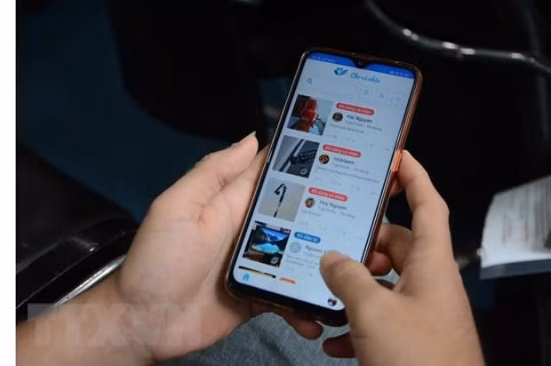 Da Nang pone en servicio piloto portal de datos para el público ảnh 1