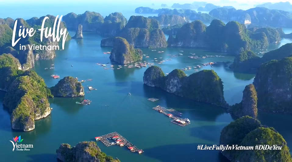 Sitio web de promoción turística de Vietnam sigue con calificaciones regionales ảnh 1 Sitio web de promoción turística de Vietnam sigue con calificaciones regionales ảnh 1