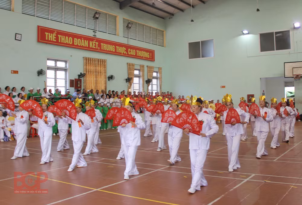 Provincia vietnamita de Bac Giang por construir un entorno cultural saludable ảnh 2