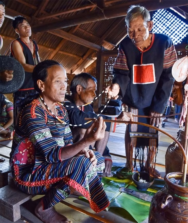 Los M’Nong Rlam honran a personas de edad en celebración de la longevidad ảnh 1