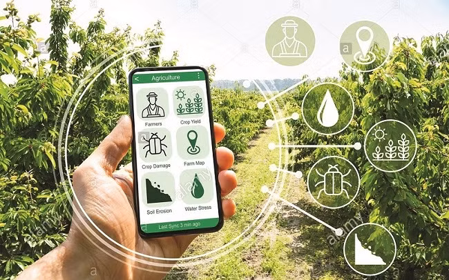 Bac Giang desarrolla nuevas zonas rurales ligadas con transformación digital ảnh 1 Bac Giang desarrolla nuevas zonas rurales ligadas con transformación digital ảnh 1