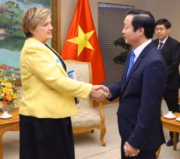 Vietnam sugiere a UNICEF ayudar a desarrollar conjunto de indicadores de bienestar infantil ảnh 2