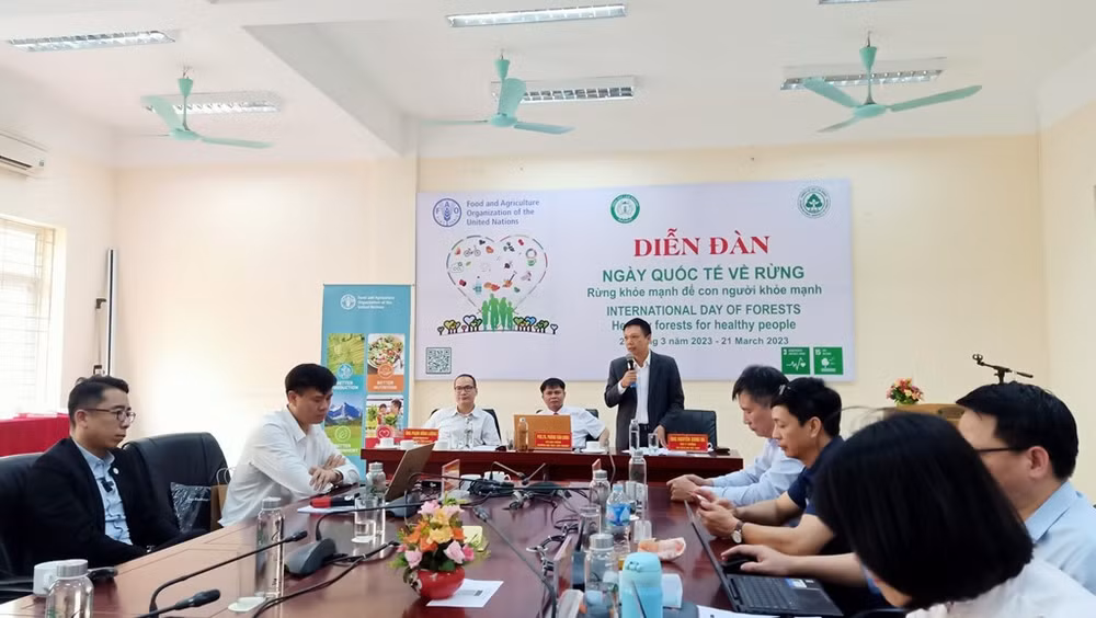 Efectúan en Hanoi foro por Día Internacional de los Bosques ảnh 2