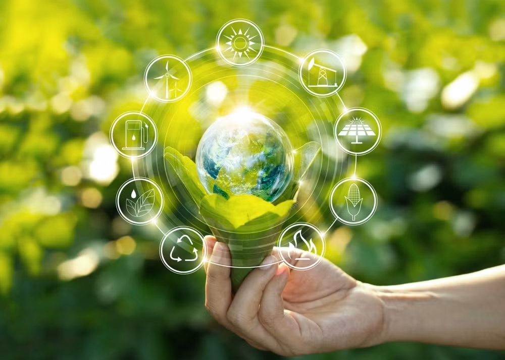 Vietnam: Economía verde será motor de crecimiento ảnh 2