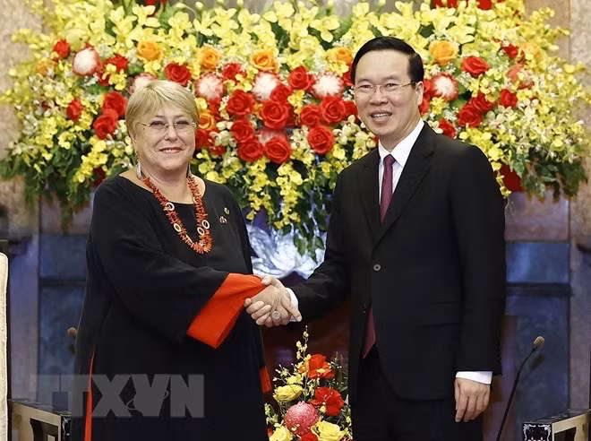 Presidente vietnamita dialoga con exmandataria chilena ảnh 1 Presidente vietnamita dialoga con exmandataria chilena ảnh 1