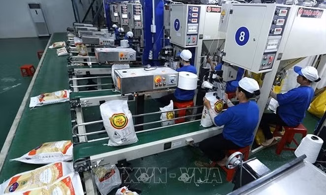 Precio de arroz exportable vietnamita aumenta 10 por ciento ảnh 1