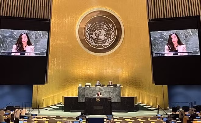 Vietnam aboga por enfoque integral para gestión sostenible de residuos ảnh 1