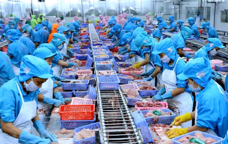 Ciudad Ho Chi Minh traza alta meta para seguridad alimentaria ảnh 1 Ciudad Ho Chi Minh traza alta meta para seguridad alimentaria ảnh 1