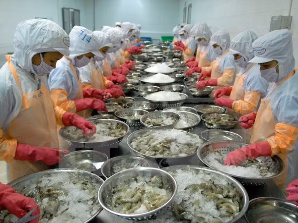 Prohíben a una empresa vietnamita exportar productos acuáticos a UE ảnh 1