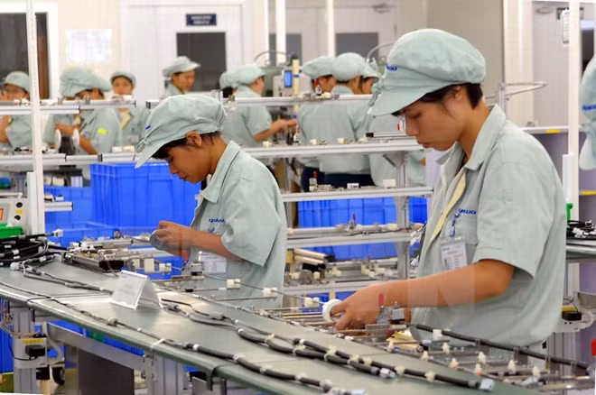 Grupo japonés estudia oportunidades de inversión en Vietnam ảnh 1