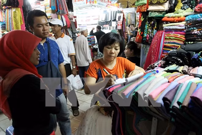 Bac Giang fija meta de turistas ảnh 1