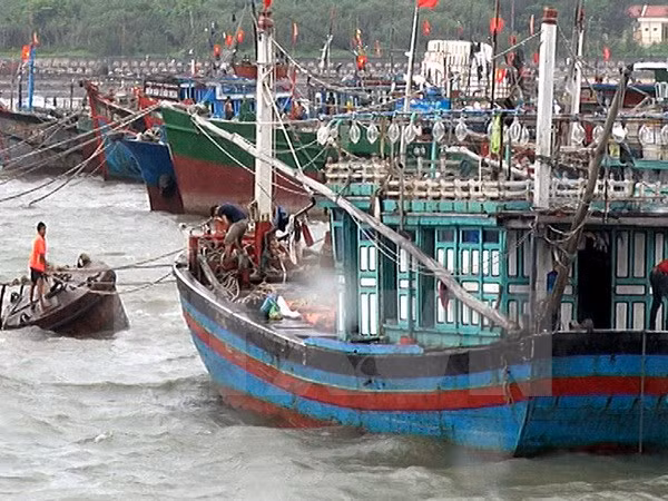 Vicepremier orienta labor de prevención contra tifón en Quang Ninh ảnh 1