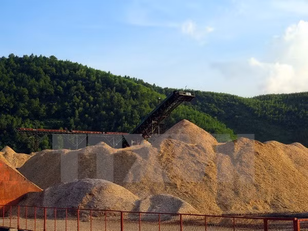 Fuerte caída de exportaciones de virutas de madera de Vietnam ảnh 1