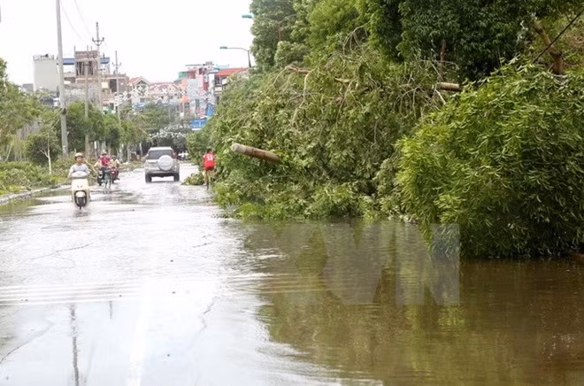 Myanmar: Seis muertos y más de 420 mil afectados por severas inundaciones ảnh 1 Myanmar: Seis muertos y más de 420 mil afectados por severas inundaciones ảnh 1
