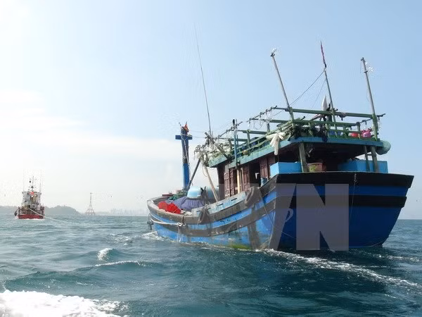 Rescata Vietnam marinero singapurense en el mar de Da Nang ảnh 1