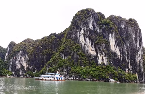 Bahía de Halong, una joya de la naturaleza vietnamita ảnh 2