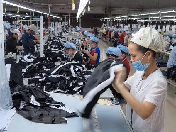 Vietnam y la India promueven comercio de industria textil ảnh 1
