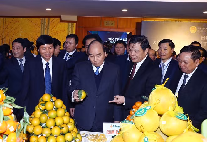 Premier de Vietnam insta a provincia norteña a convertirse en fuerza motriz para desarrollo regional ảnh 1