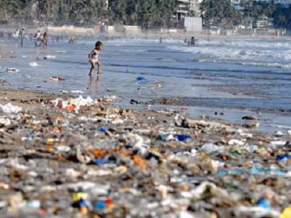 Intercambian en Vietnam experiencias en control de residuos plásticos en el mar ảnh 1