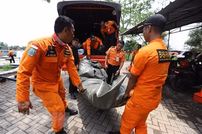 Lion Air reanuda labores de búsqueda de víctimas de avión accidentado ảnh 1