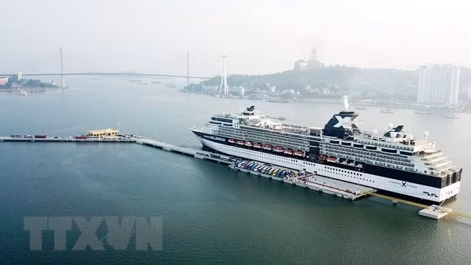Vietnam busca desarrollar turismo de cruceros ảnh 1