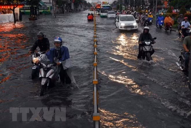 Ciudad Ho Chi Minh se esfuerza por solucionar problemas de las inundaciones para 2020 ảnh 1