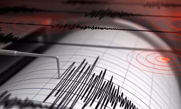 Sismo de 6,5 grados de magnitud sacude islas de Indonesia ảnh 1