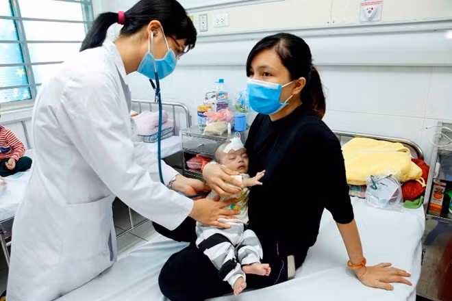 Vietnam no reporta nuevos casos de gripe aviar H5N1 en humanos desde 2014 ảnh 1