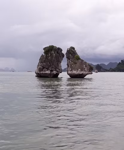 Bahía de Halong, una joya de la naturaleza vietnamita ảnh 5