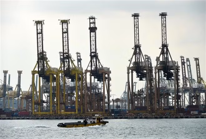 Disminuyen exportaciones no petroleras en Singapur en noviembre ảnh 1