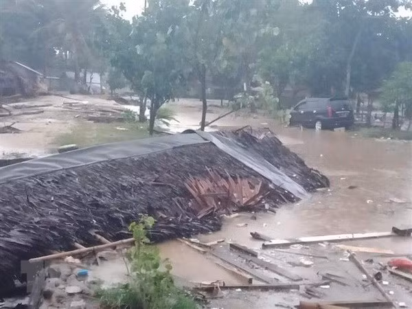 Indonesia reafirma atención en mejoramiento del sistema de alerta temprana de tsunami ảnh 1