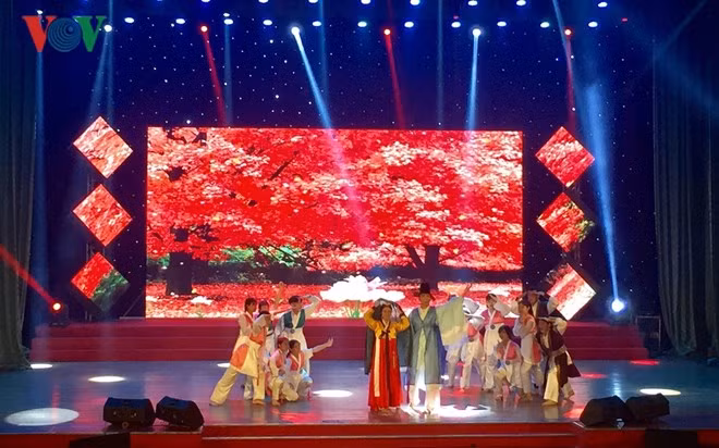 Celebran festival de performances artísticos para extranjeros en ciudad vietnamita ảnh 1