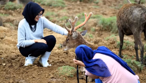 Indonesia fija meta de convertirse en mejor destino mundial de turismo halal ảnh 1