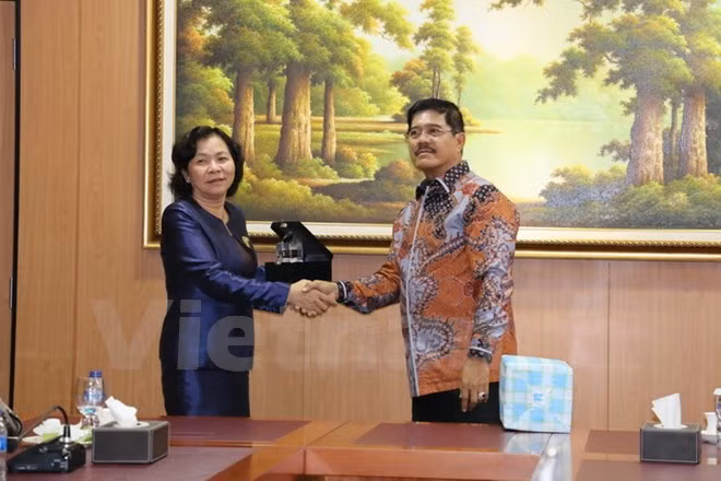  Vietnam busca robustecer cooperación judicial con Indonesia ảnh 1