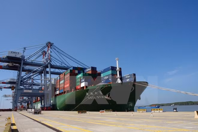 Puerto meridional Cai Mep recibe súper carguero ảnh 1