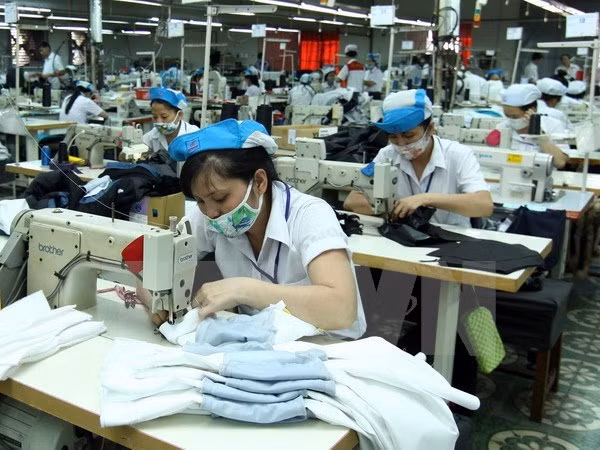 Busca Vietnam incrementar exportación a Estados Unidos ảnh 1